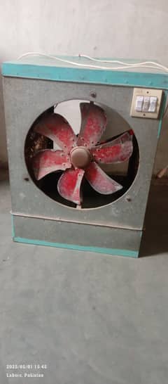 Full size cooler ha A-1 peace
