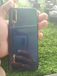 Vivo