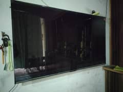 TCL 65