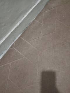 carpet