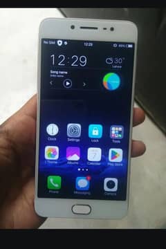 vivo