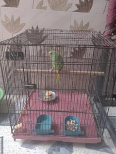 cages
