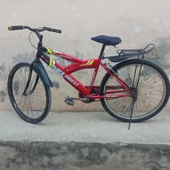 cycle