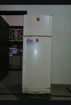 FRIDGE PEL