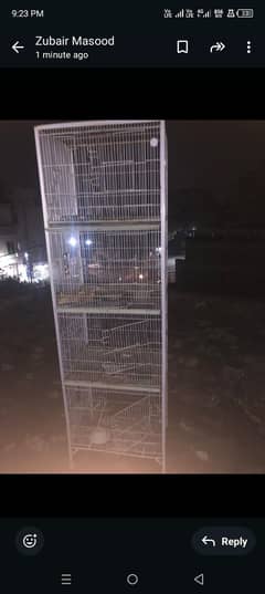 Parrot