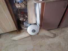 celling fan
