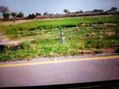 Agriculture culture 19 kanal land for sale in pari morha Chak beli Khan Rawalpindi