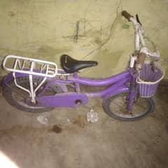 cycle babi