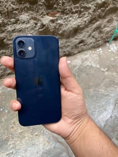 iphone 12 pta approved