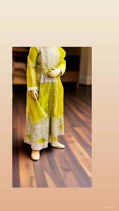 lehnga choli fully embroidered