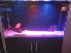 complete setup for sale contact  03118342951