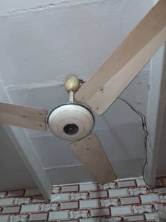 Sofi Brand Ceiling Fan – Used, Excellent Working