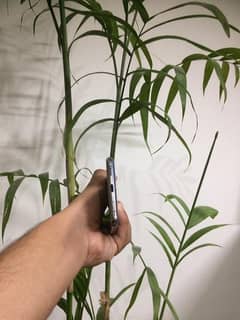 samsung s20 ultra [non pta] zong sim working can be exchanged