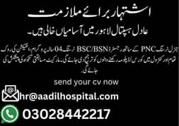 Job Available for BSN Nurses and Cashier