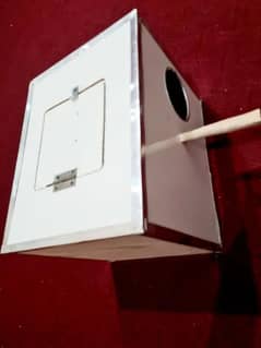 New full size cocktail parrots box for sale. . final price