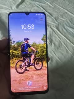 vivo