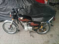 2021 model  03036857237