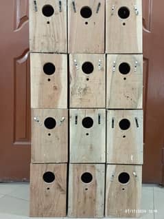 Big Sized Lovebird Breeding Boxes