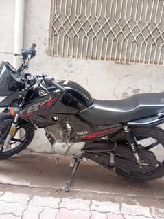 Yamaha ybr