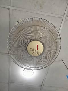 Royal Circomative Fan