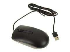 Mouse