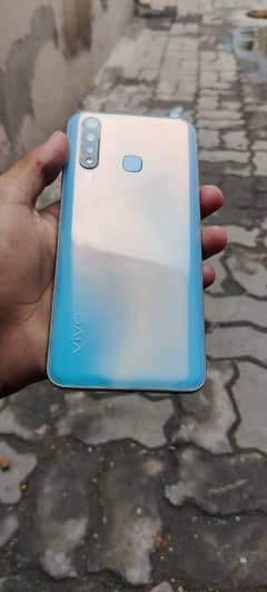 vivo