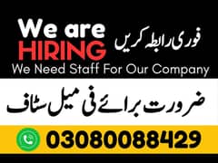Data Entry Job / Assignment Job / Typing job /Part Time Full Time Job