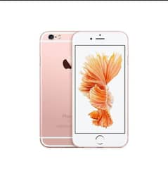 iphone 6