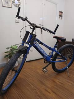 Chicago Bicycle