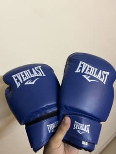 Boxing gloves