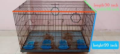Birds