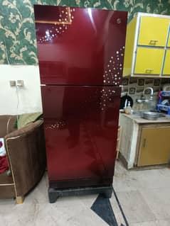 pel glass door fridge