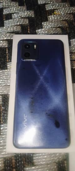vivo