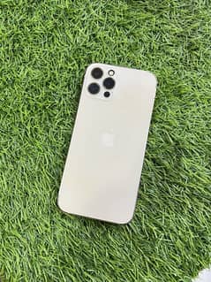 Iphone 12 Pro Pta Approved