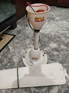 GFC Ceiling Fan for Sale in Best Condition