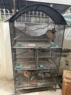 Cages available for sale
