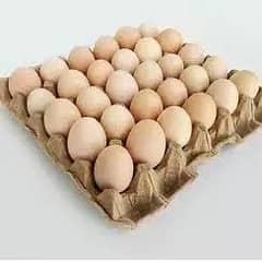 Desi eggs | packaged | delivery