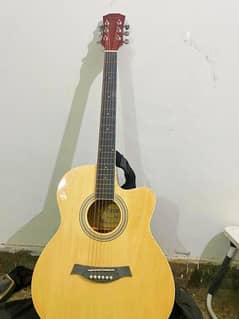 Acoustic Guitar