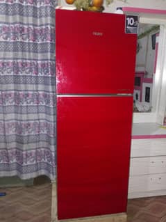 hair fridge