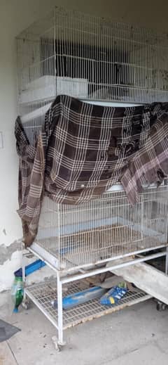 Cage