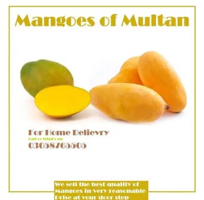 Mangoes