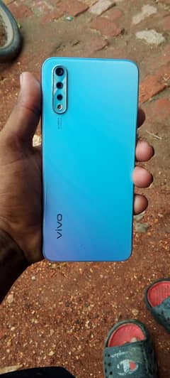 vivo