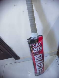 cricket