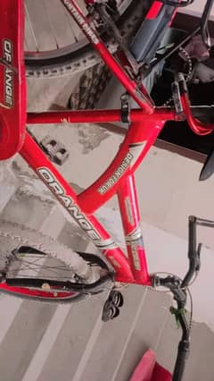 NEW TRENDING BICYCLE
