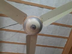ceiling
