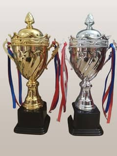 Trophies and Medals/Award Trophy/Custom Trophies for Every Occasion
