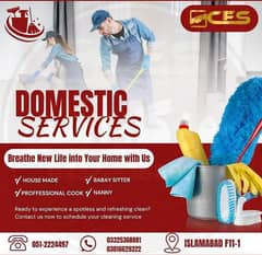 Baby Sitter, Cook, Helper, Driver, Nanny, Couple, House Maids, Chef