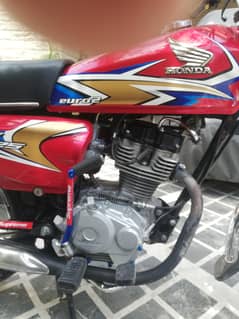 whatsapp 03131290536 03339893271
