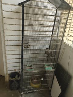 Birds cage