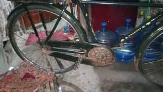 China cycle